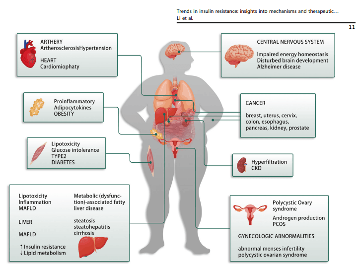 Insulin resistance hormones and weight loss Insulin resistance hormones and weight loss